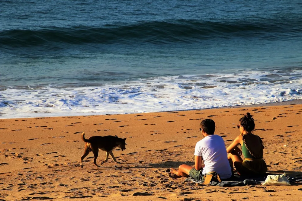 Couple sit a Sri Lanka Beach