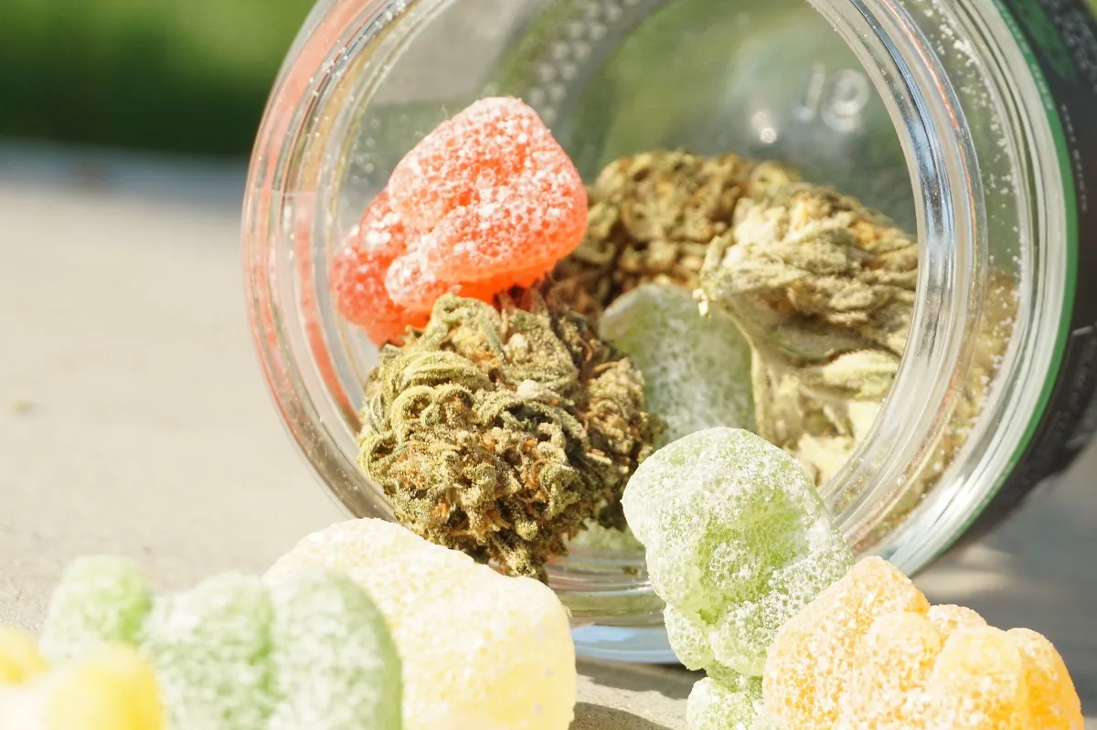 Try Cannabis Edibles on Your Trip