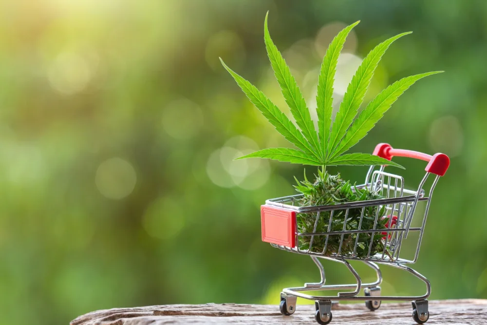 Buying Marijuana